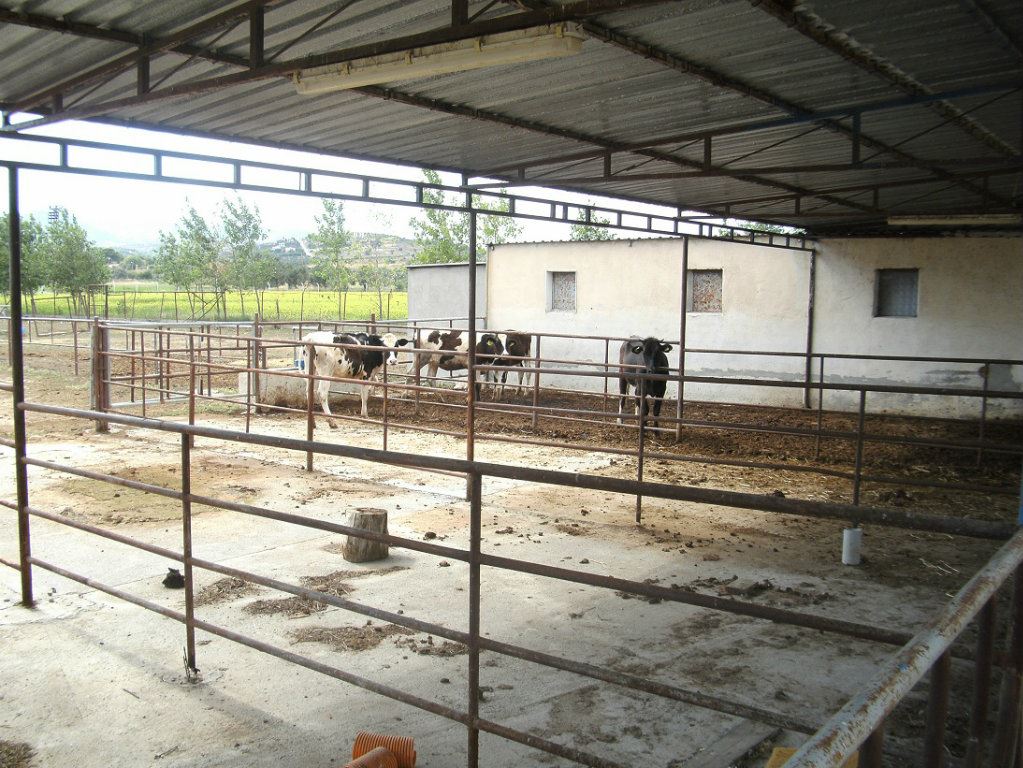 izmir foçada satılık çiftlik fıratcan emlak